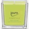 Lüften Ipuro Lime Light Duftkerze (125g) Luftverbesserer